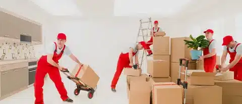 Movers and Packers