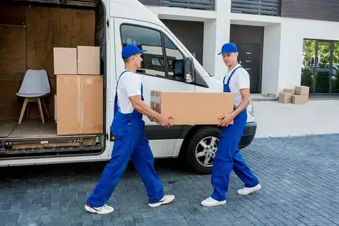 professional movers in UAE